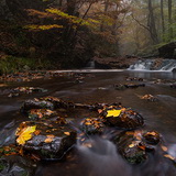 Autumn in the Ardennes